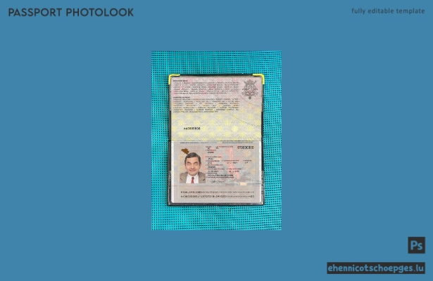 Beispielvorschau für ein Foto für einen belgischen Notfallpass